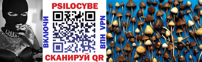 Купить закладки  Серпухов  Псилоцибиновые грибы Magic Shrooms 